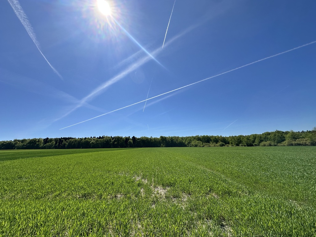 Działka – Grązów