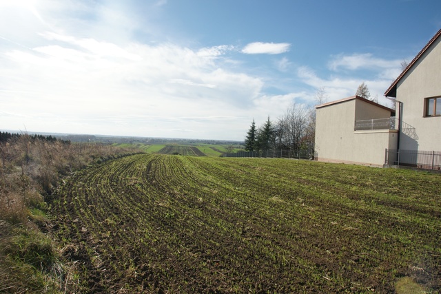 Działka – Miechów, ul. Polna