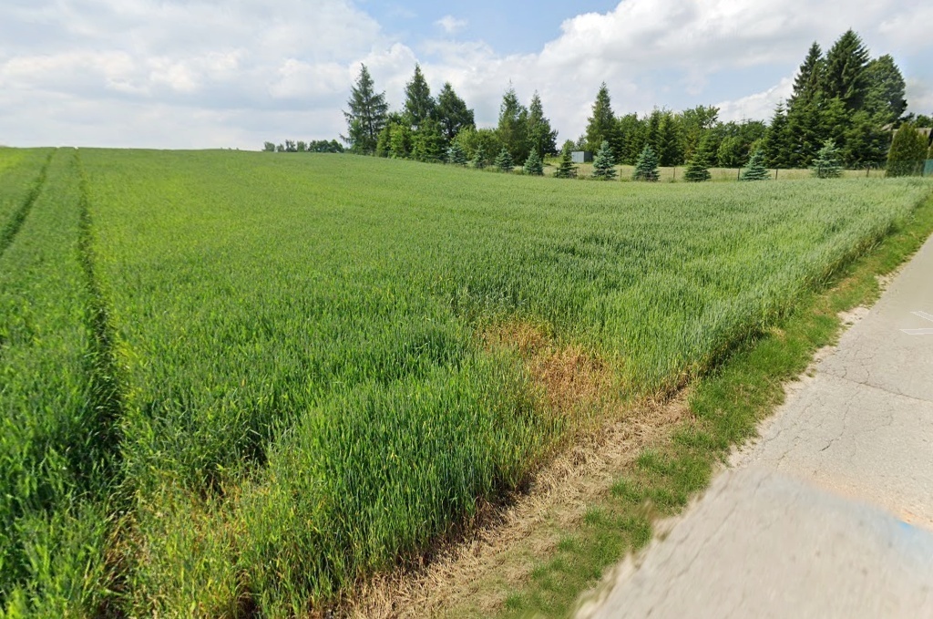 Działka – Poręba Dzierżna