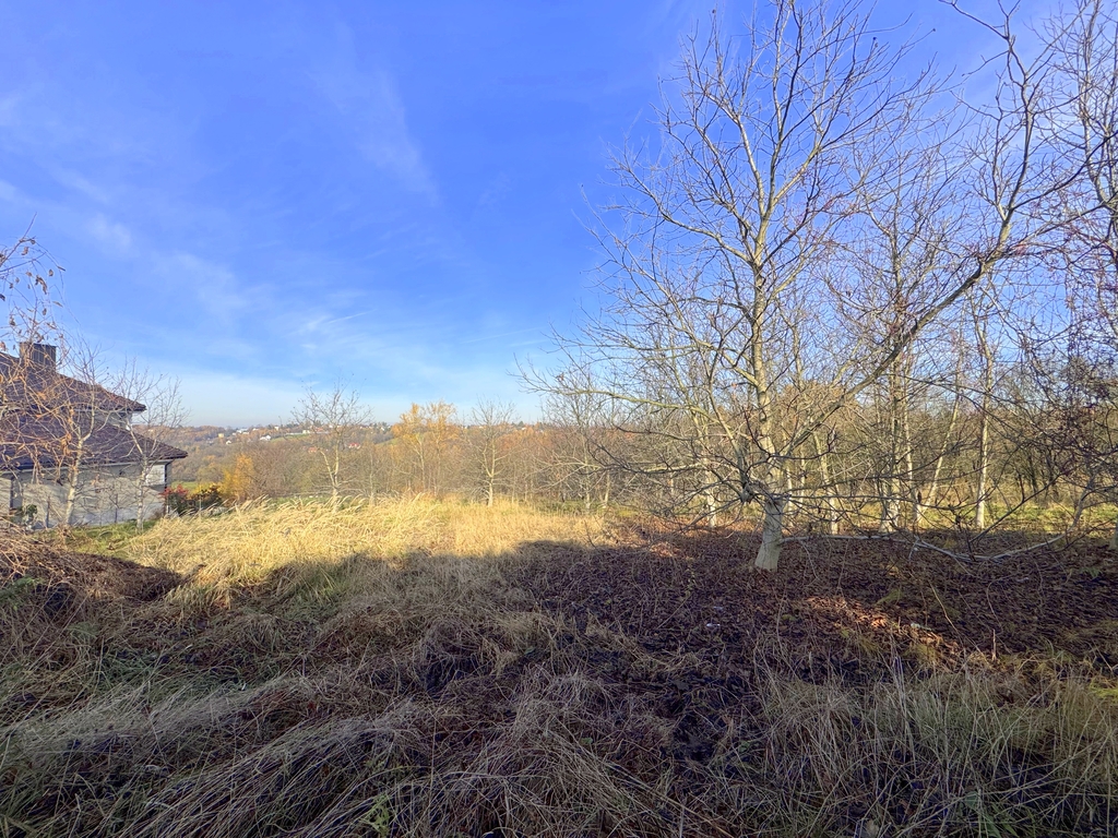 Działka – Gaj, ul. Brzezinka