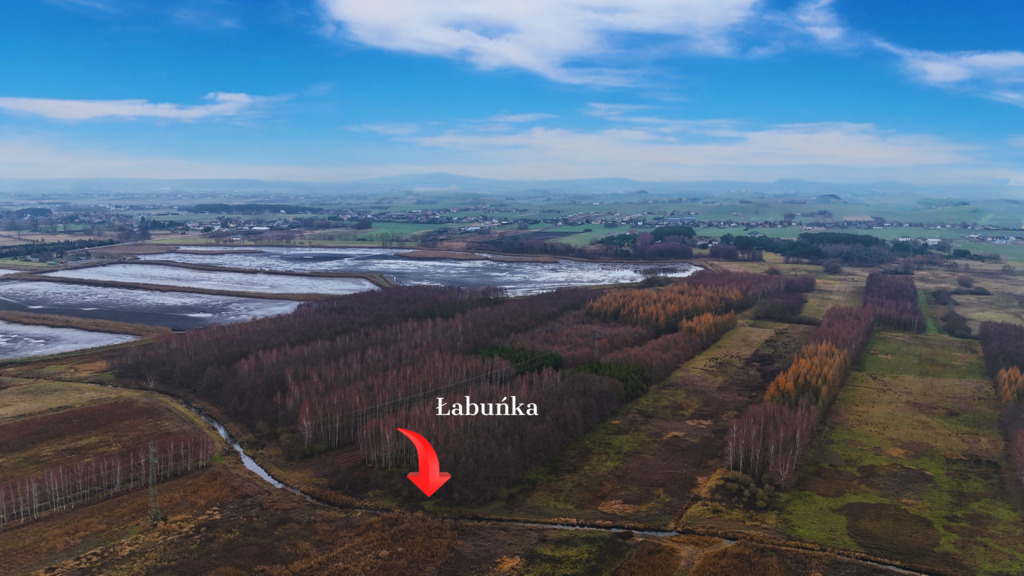 Działka – Pniówek