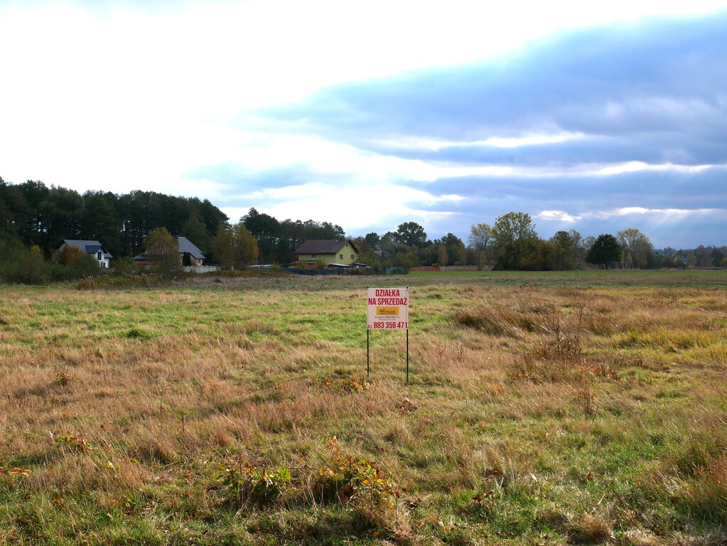 Działka – Zagajnik