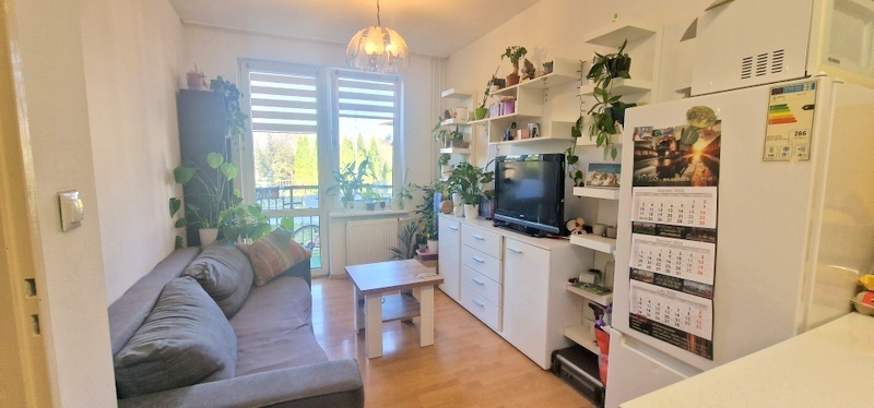 Mieszkanie – Czarnowąsy