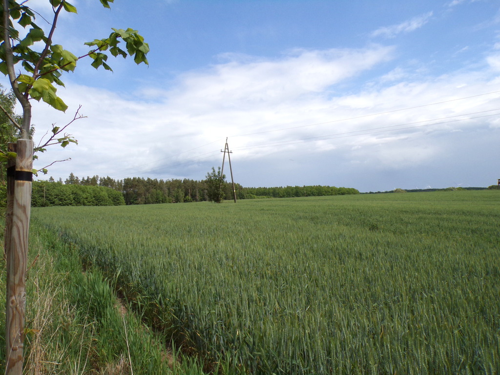 Działka – Machowino