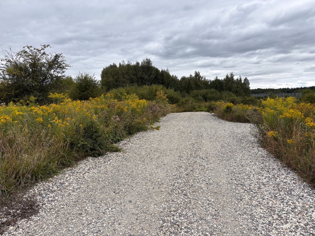 Działka – Cikowice