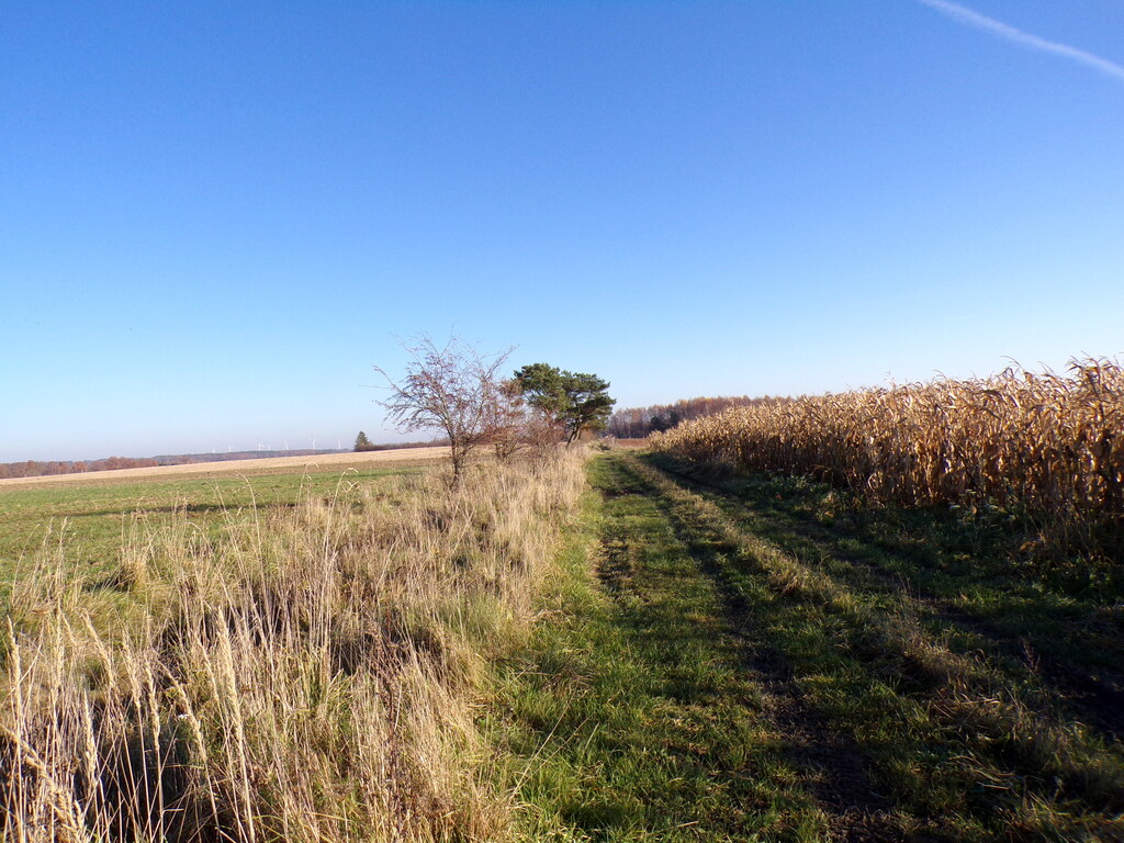 Działka – Machowino