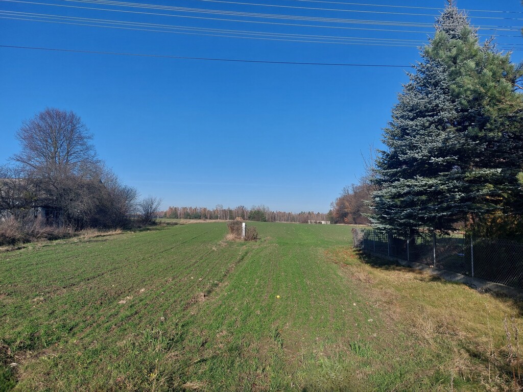 Działka – Styrzyniec