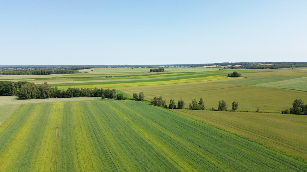 Działka – Parzyce