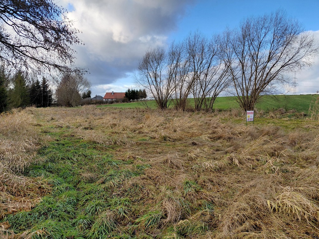 Działka – Warta Bolesławiecka