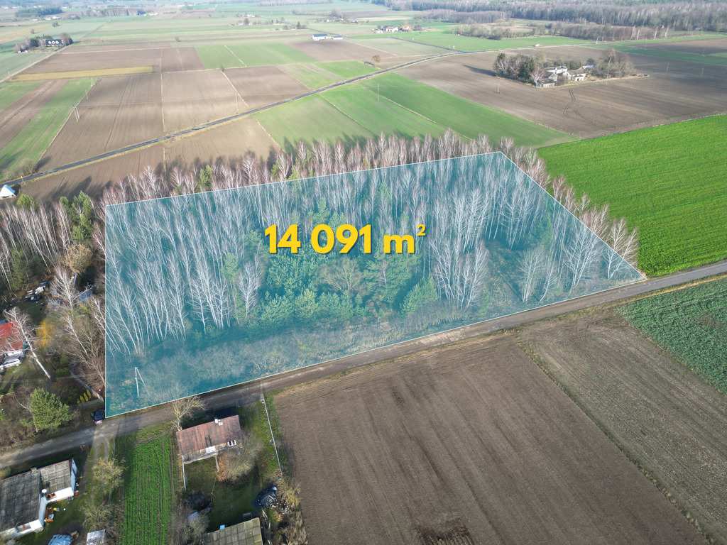 Działka – Pokinianka