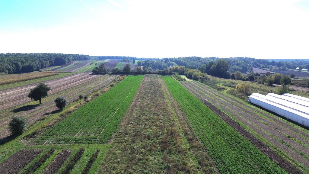 Działka – Nałęczów, ul. Sędziego Michała Tarki