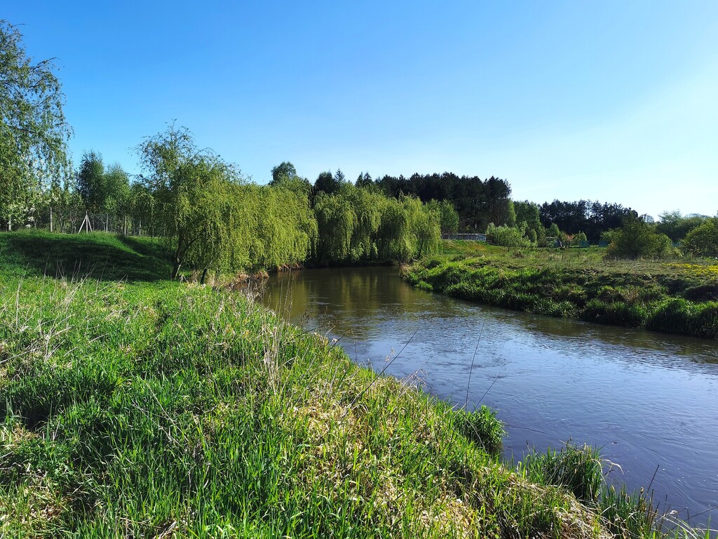 Działka – Wola Przedborska