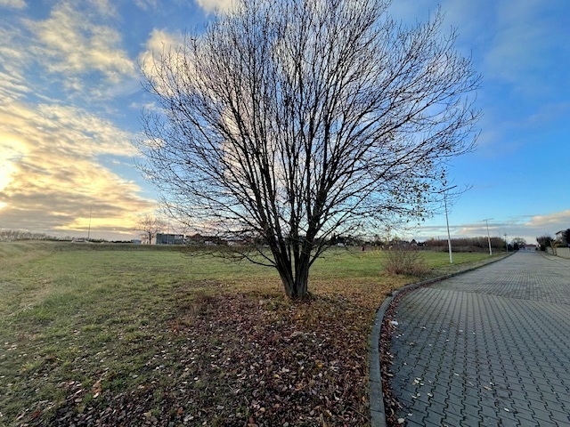 Działka – Zajączkowo