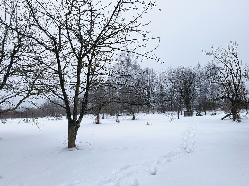 Działka – Międzyrzec Podlaski, ul. Tartaczna