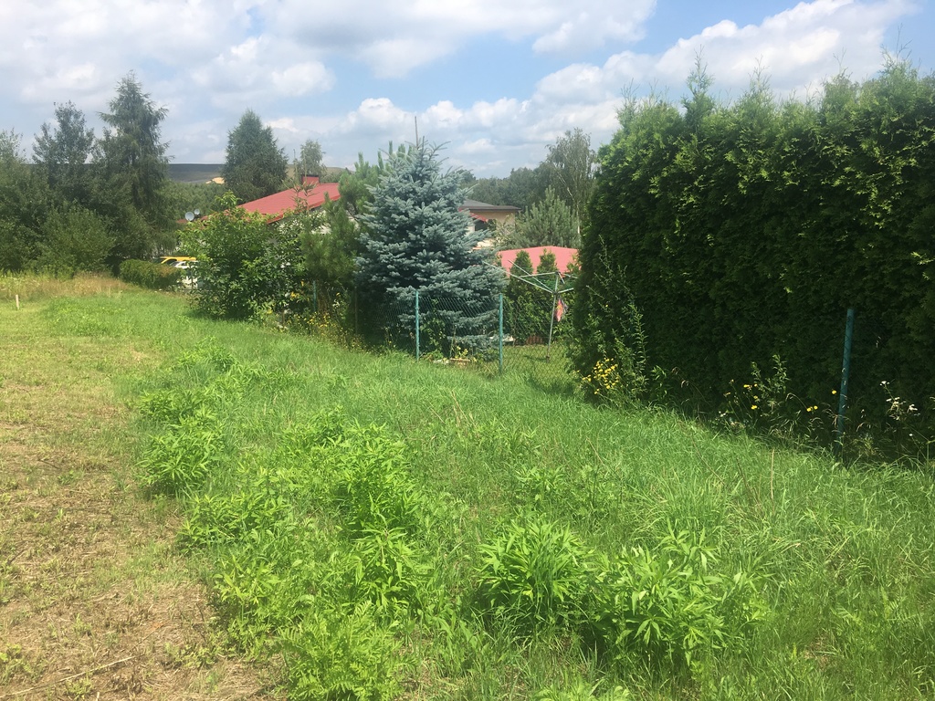 Działka – Jastrzębie-Zdrój