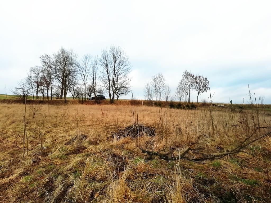 Działka – Sulisławice