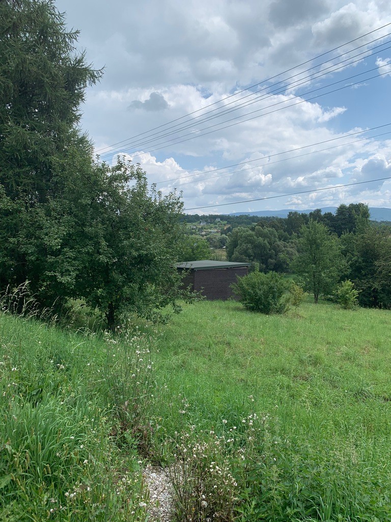 Działka – Wieszczęta