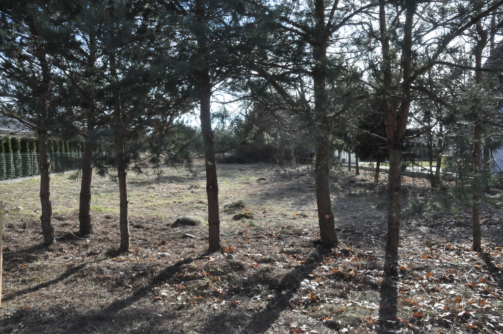 Działka – Rakowiska