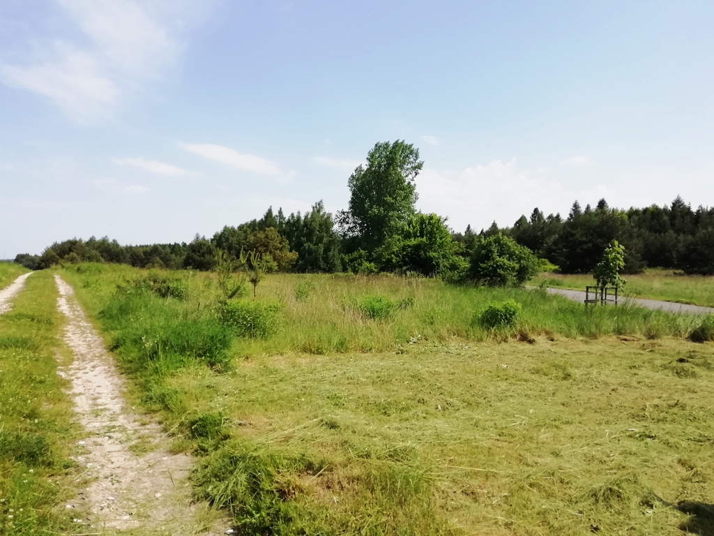 Działka – Kwaśniów Dolny