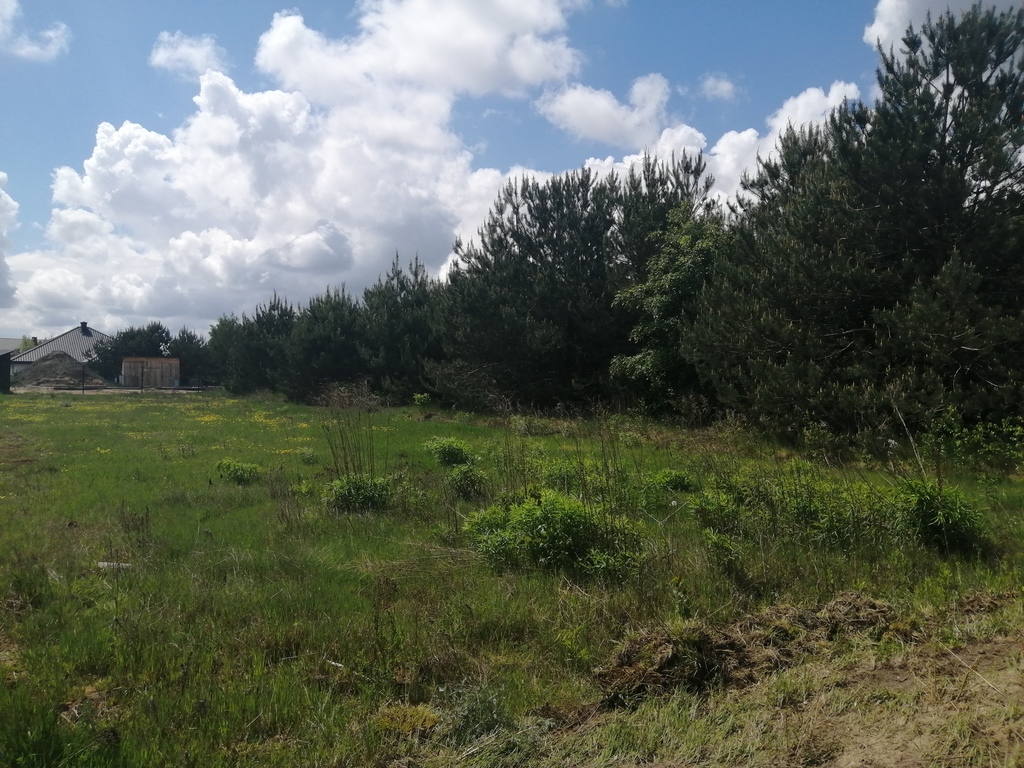 Działka – Rakowiska