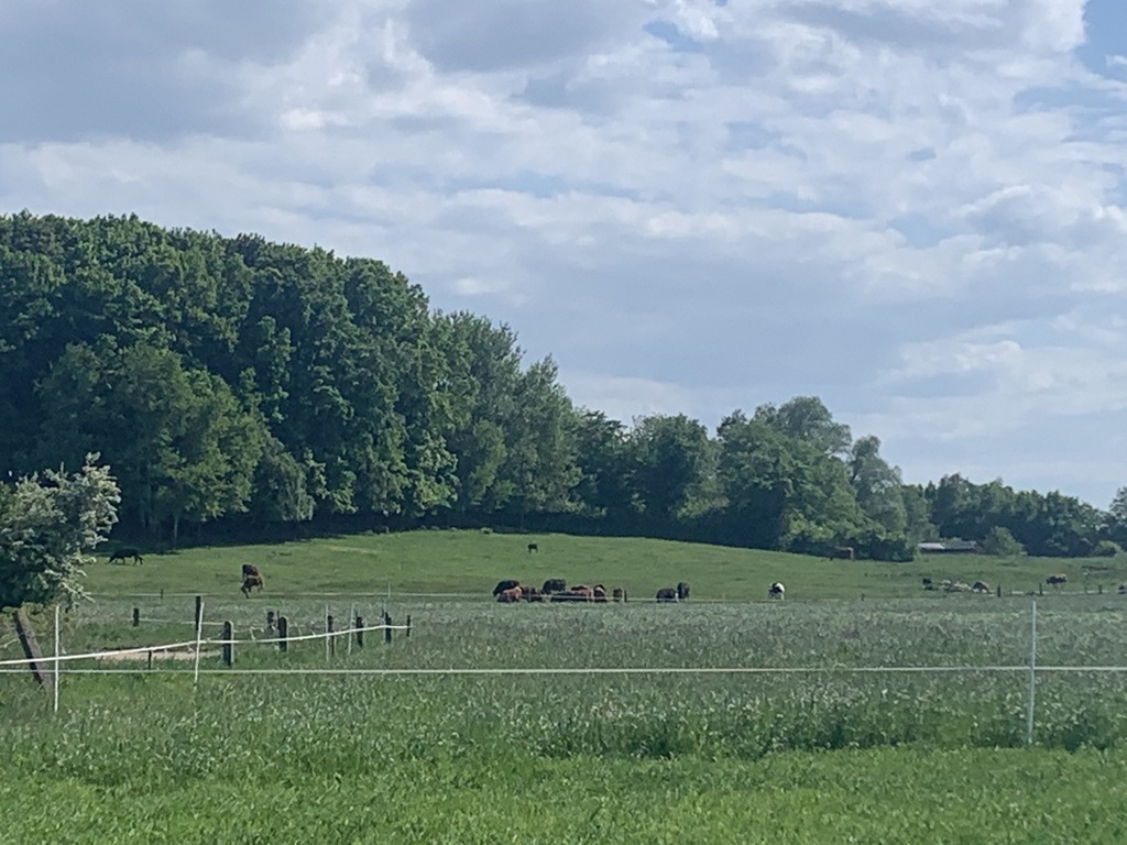 Działka – Słajszewo