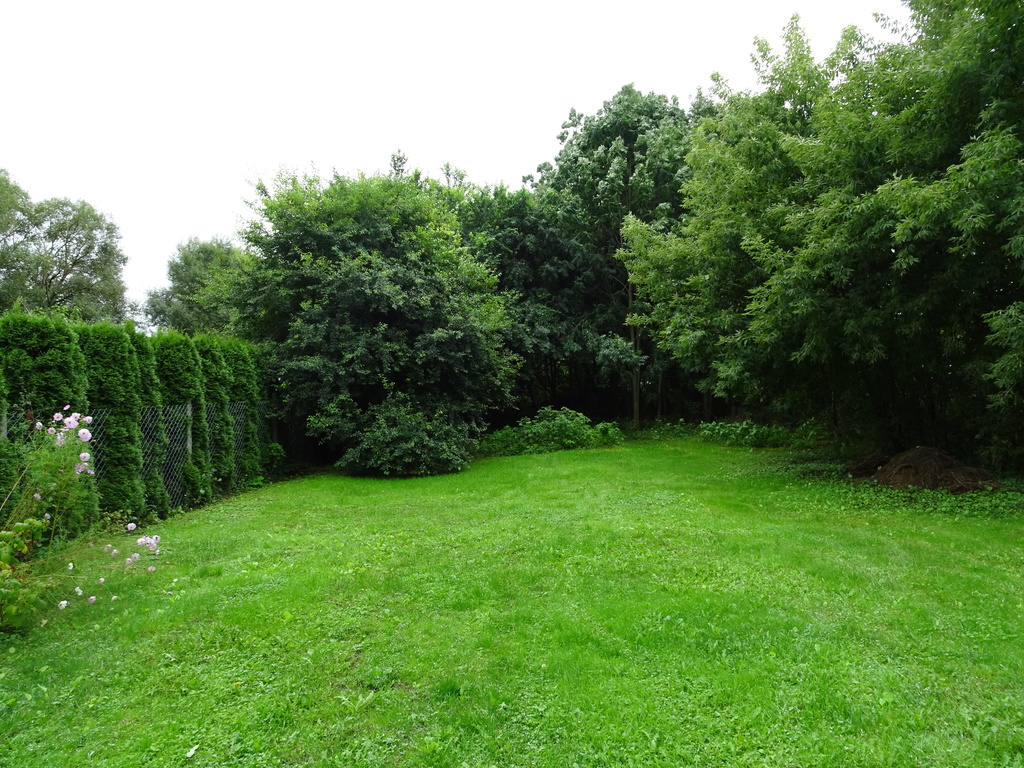 Działka – Janów Podlaski