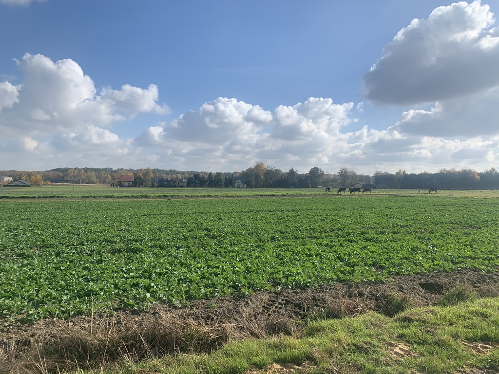 Działka – Orzesze