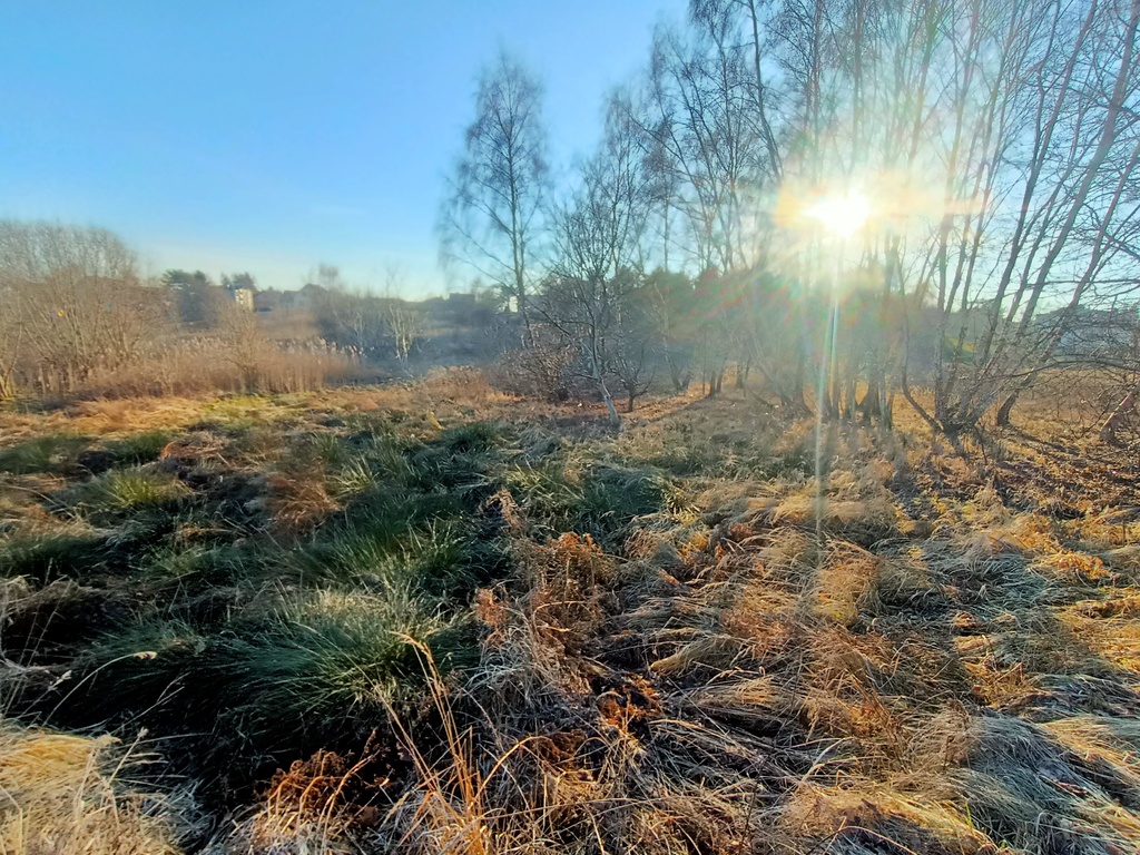 Działka – Rybnik, ul. Niedobczycka