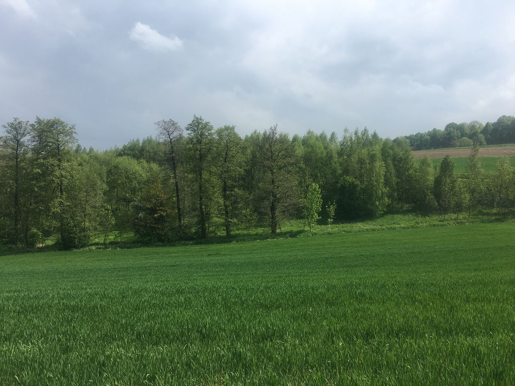 Działka – Jasienica