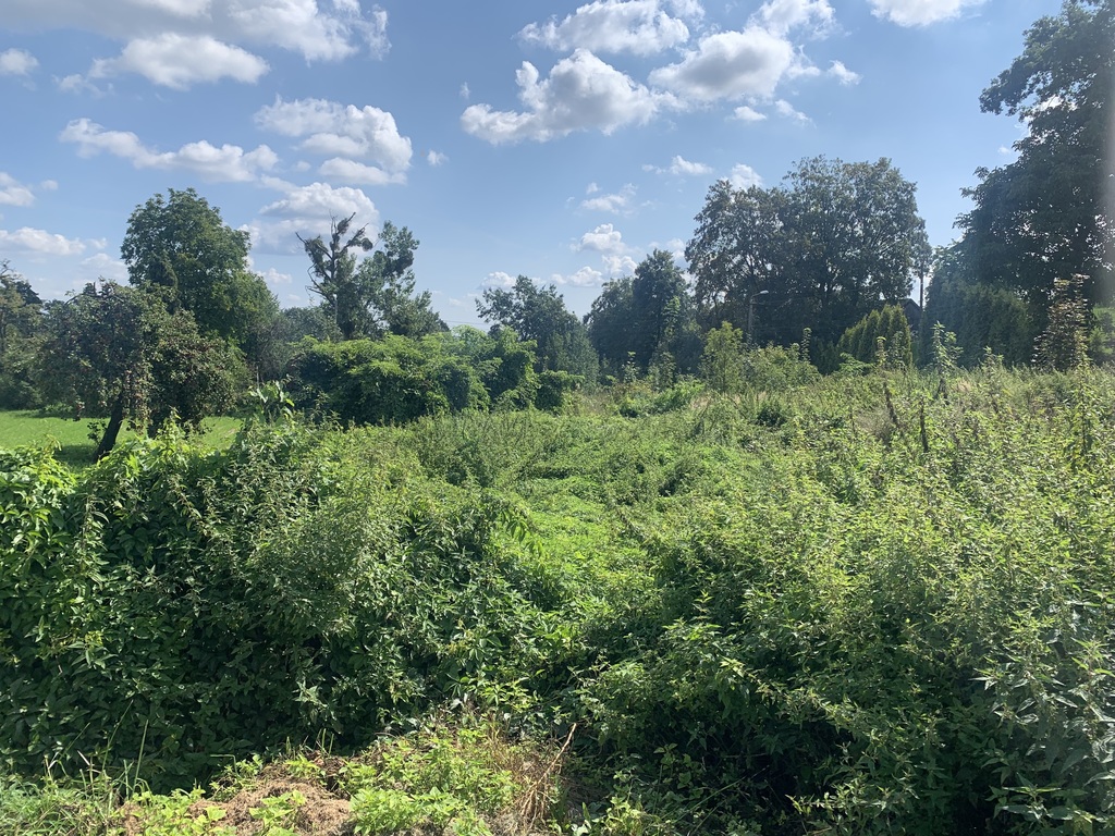 Działka – Sławików