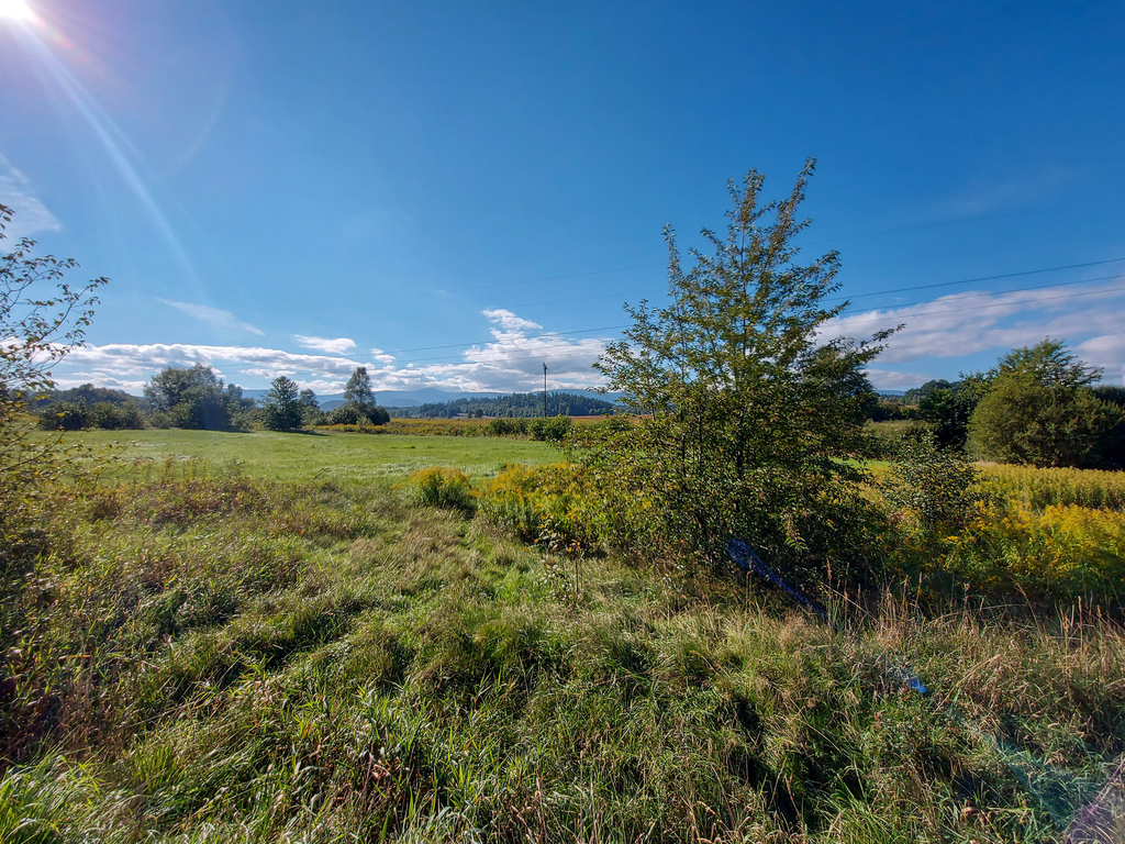 Działka – Jelenia Góra, ul. Andrzeja Cinciały