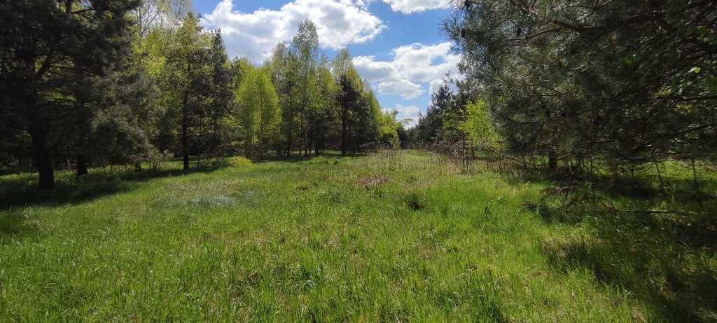 Działka – Jaźwiny