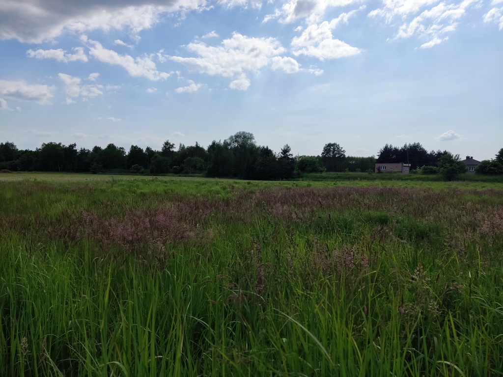 Działka – Turza Śląska, ul. Zwycięstwa