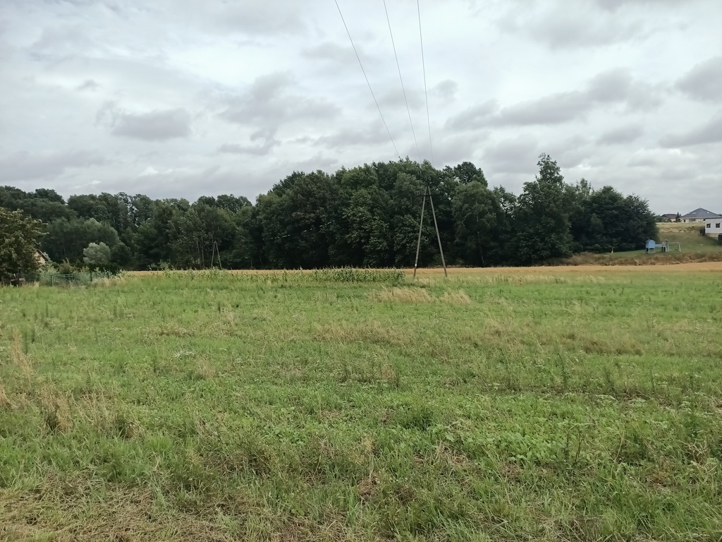 Działka – Żory, Rogoźna