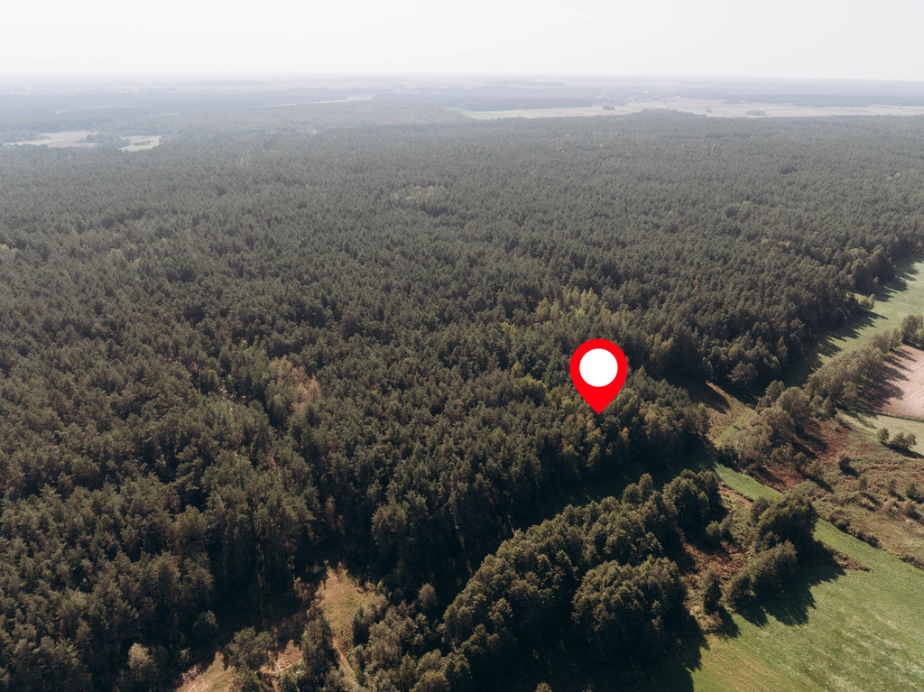 Działka – Modzele-Skudosze