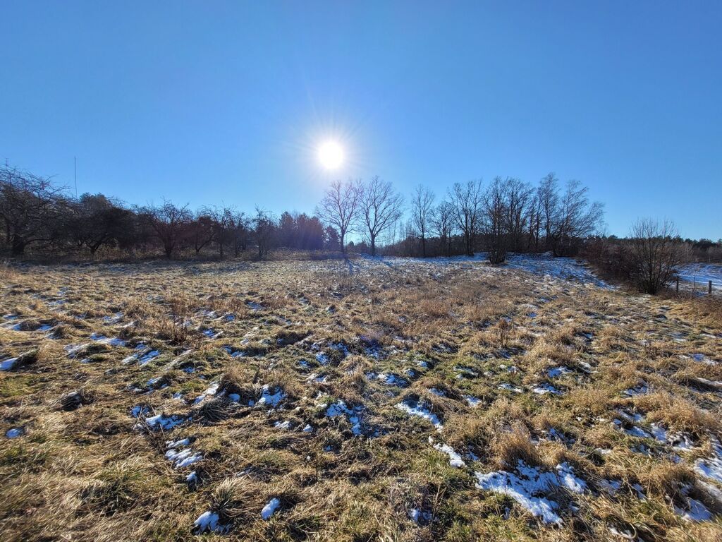 Działka – Cielętniki