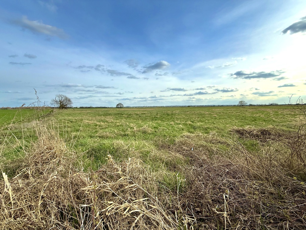 Działka – Sobczyce