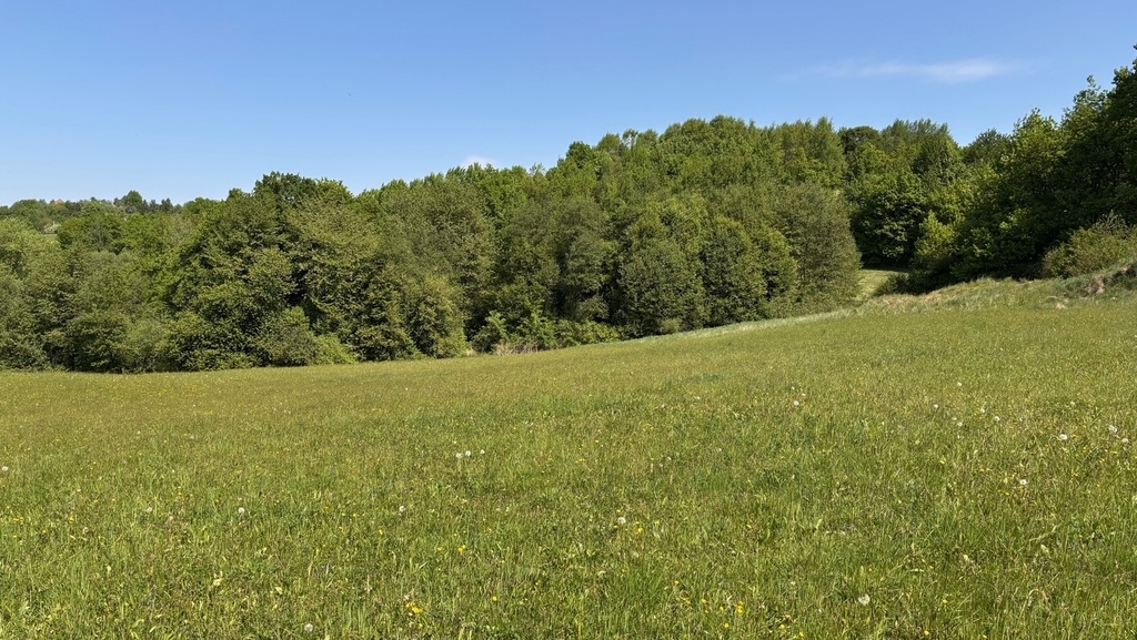 Działka – Tarnawa