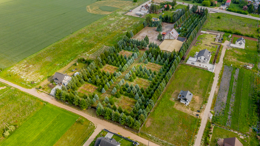 Działka – Żółtki