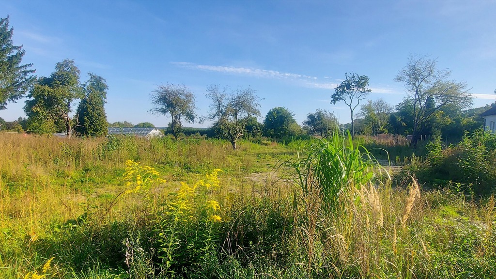 Działka – Bartoszyce