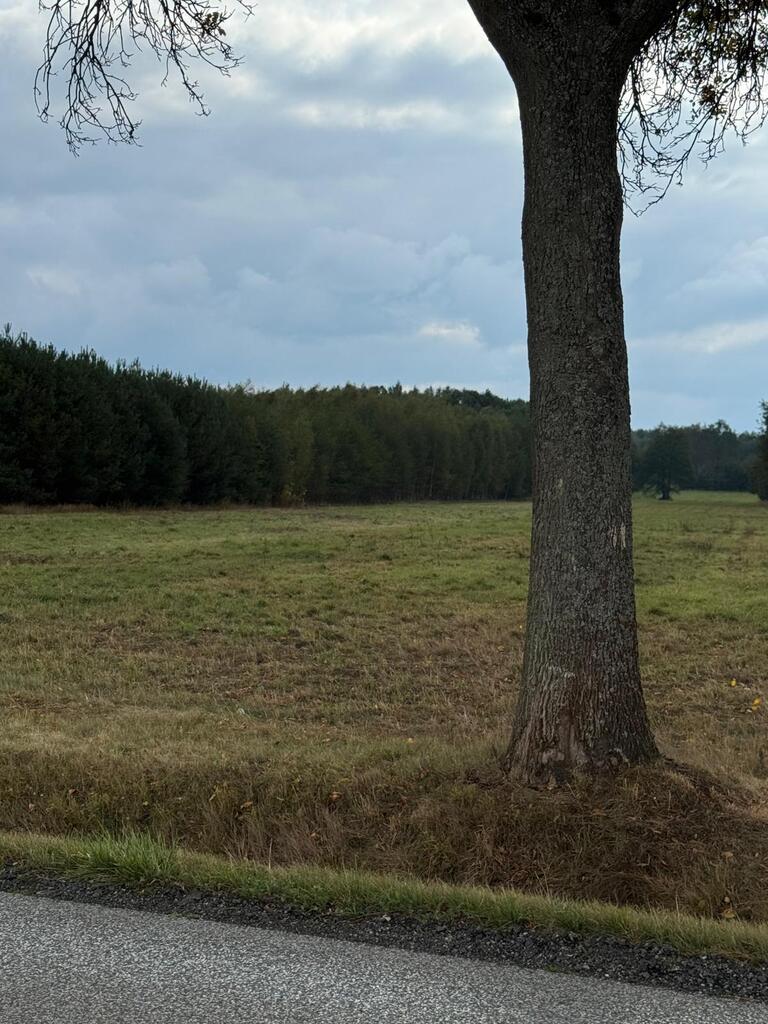 Działka – Bronów