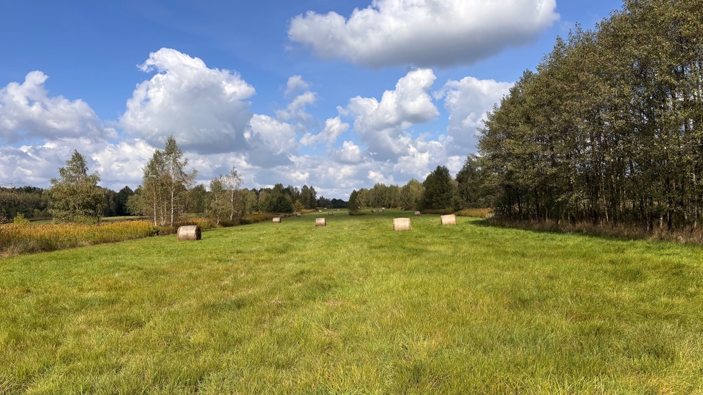 Działka – Jodłówka