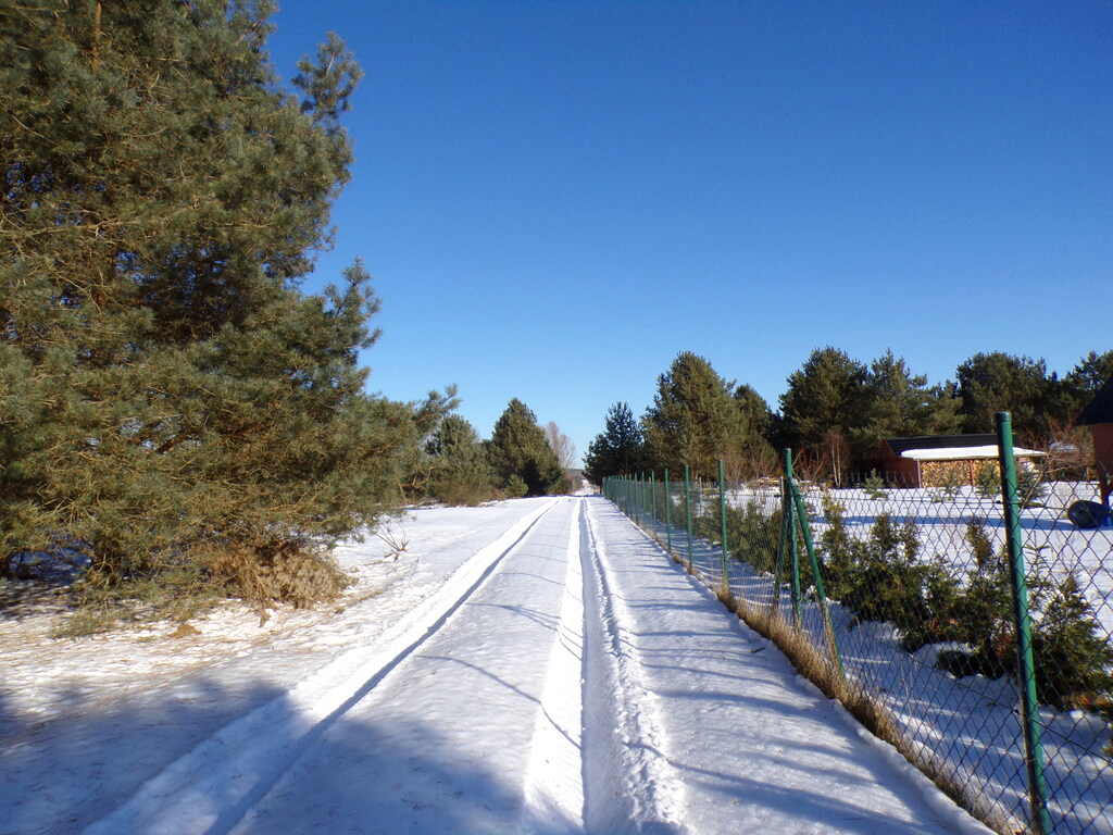 Działka – Machowino, Sosnowa