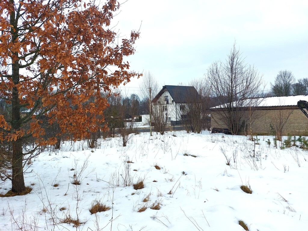 Działka – Michałki