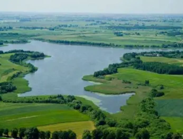 Działka – Goreń Duży