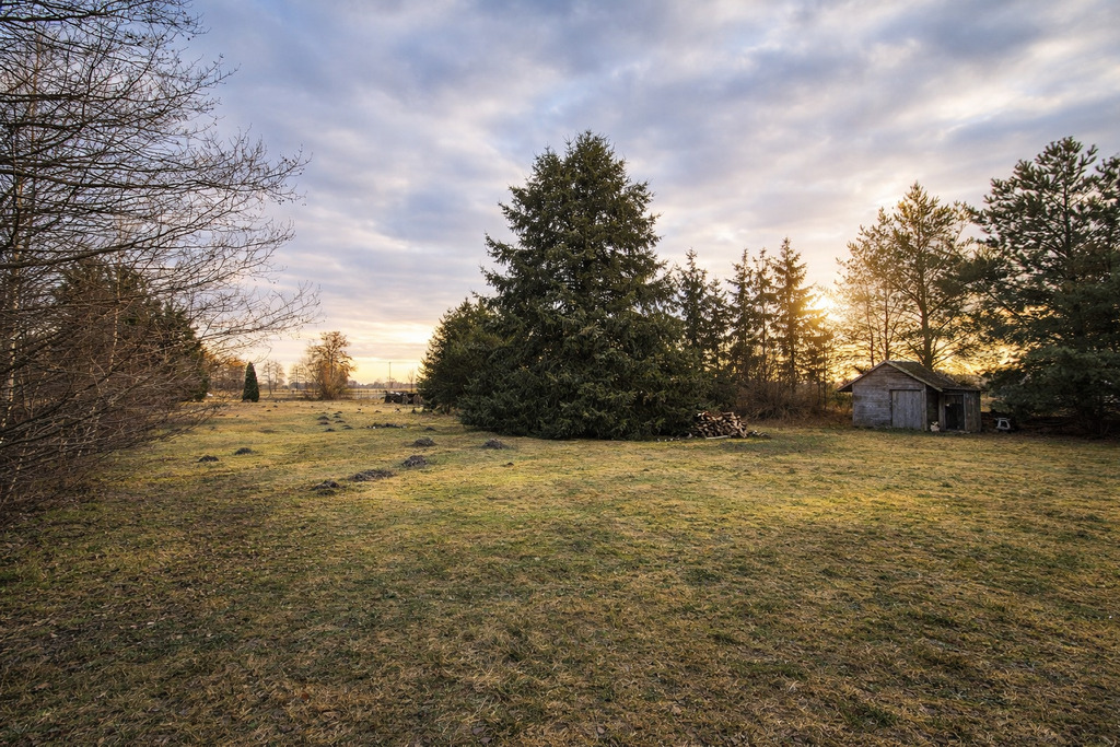 Działka – Tarkowo Dolne