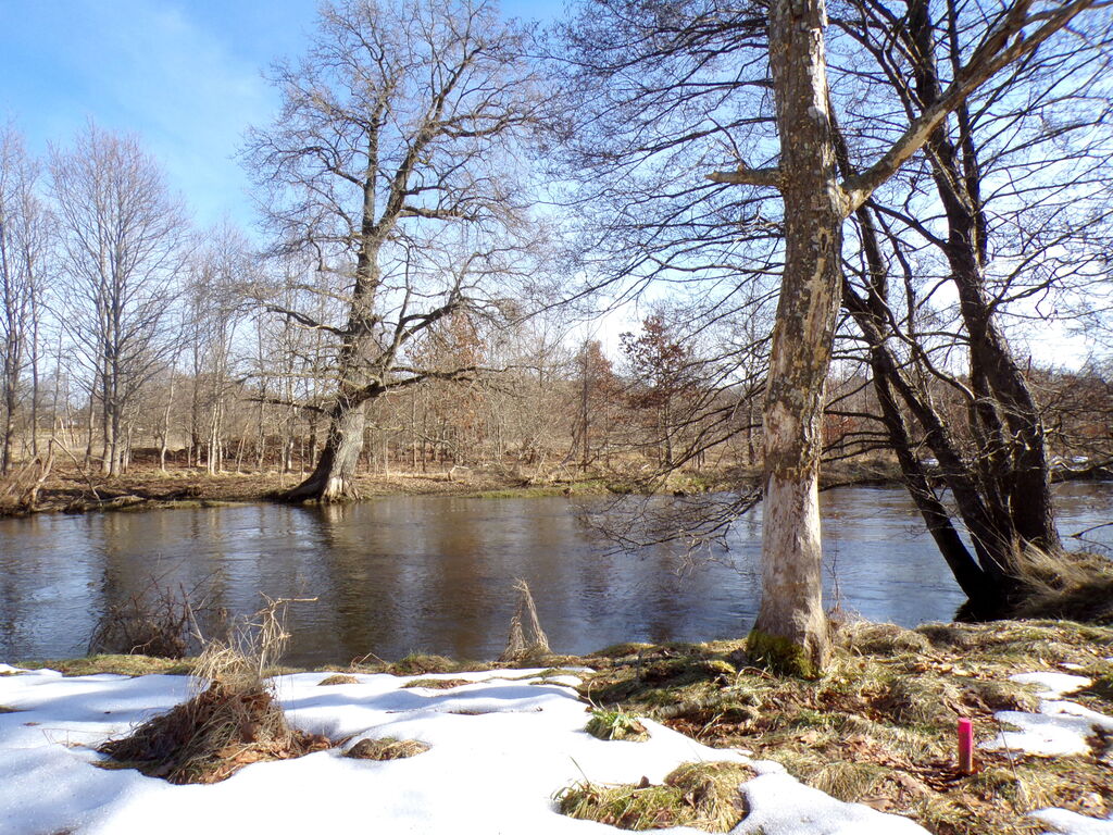 Działka – Charnowo