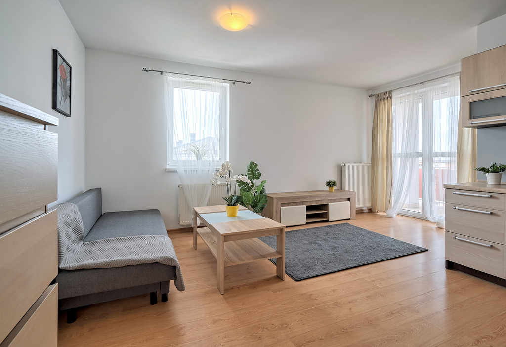 Mieszkanie – Borkowo, Współczesna