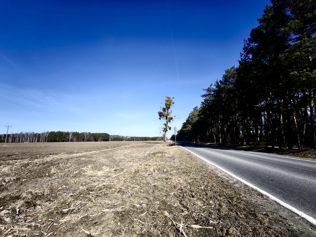 Działka – Elżbiecin