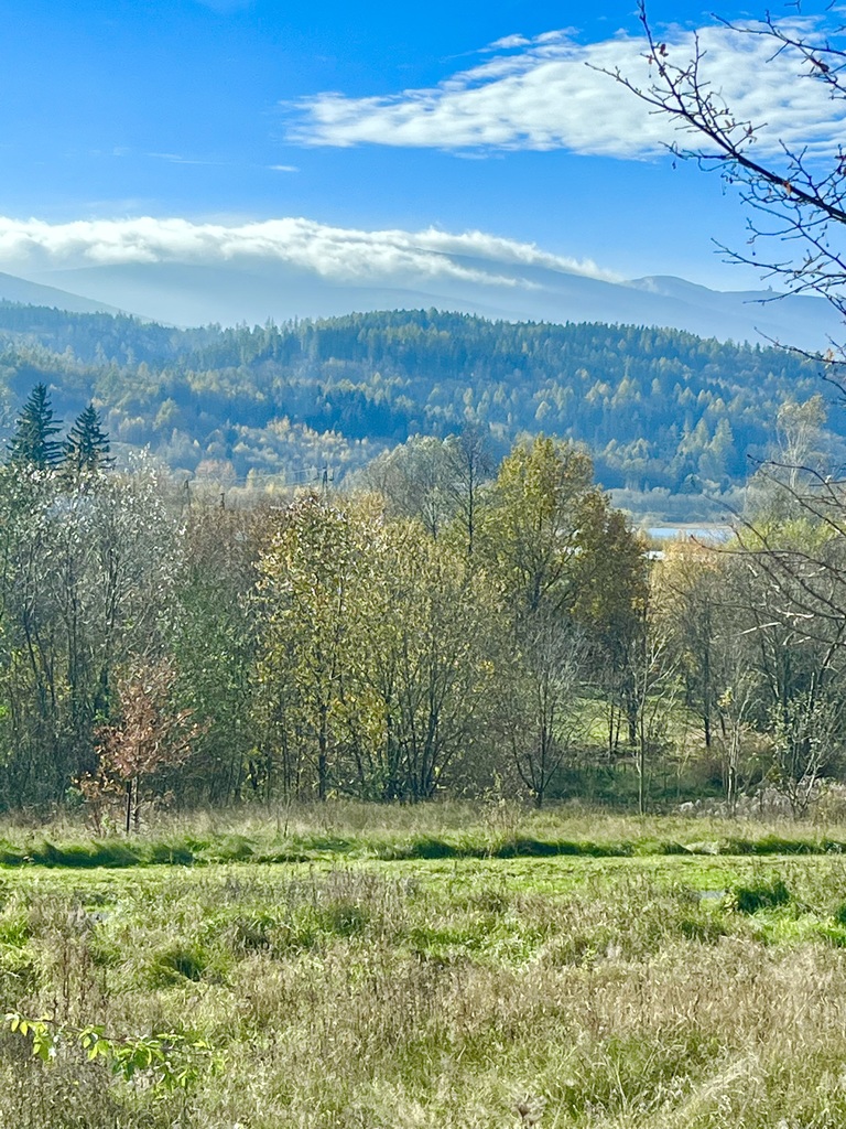 Działka – Sosnówka